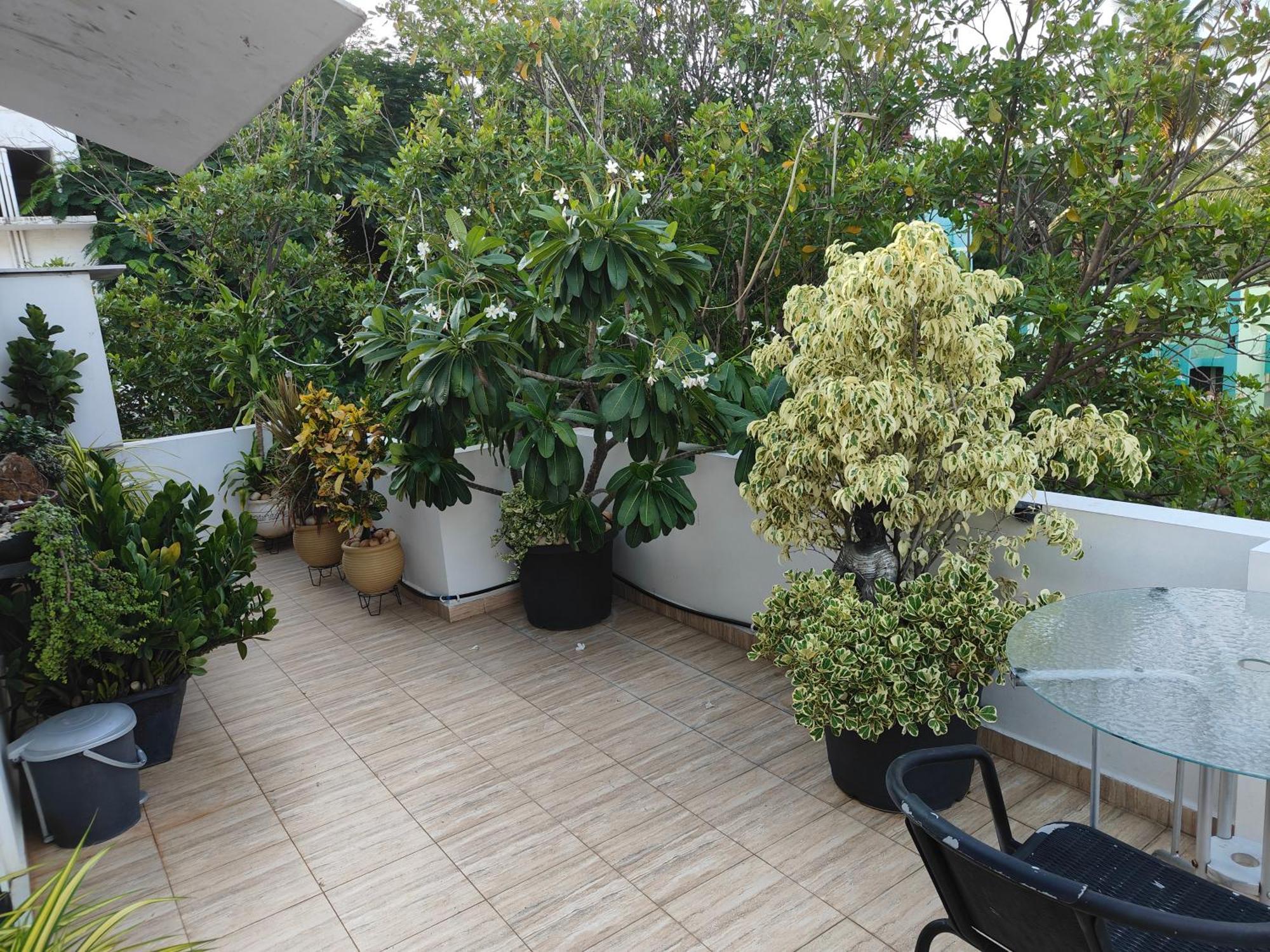 Apartment Grnstay *