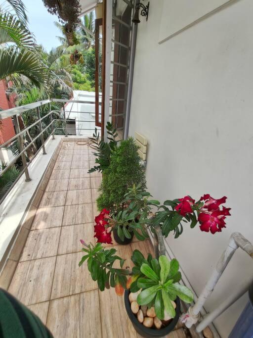 Apartment Grnstay